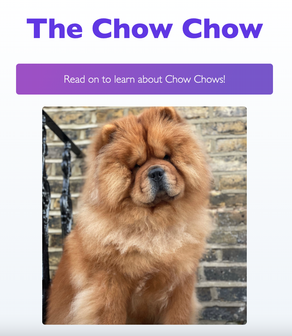 Kevin the Chow Chow preview
